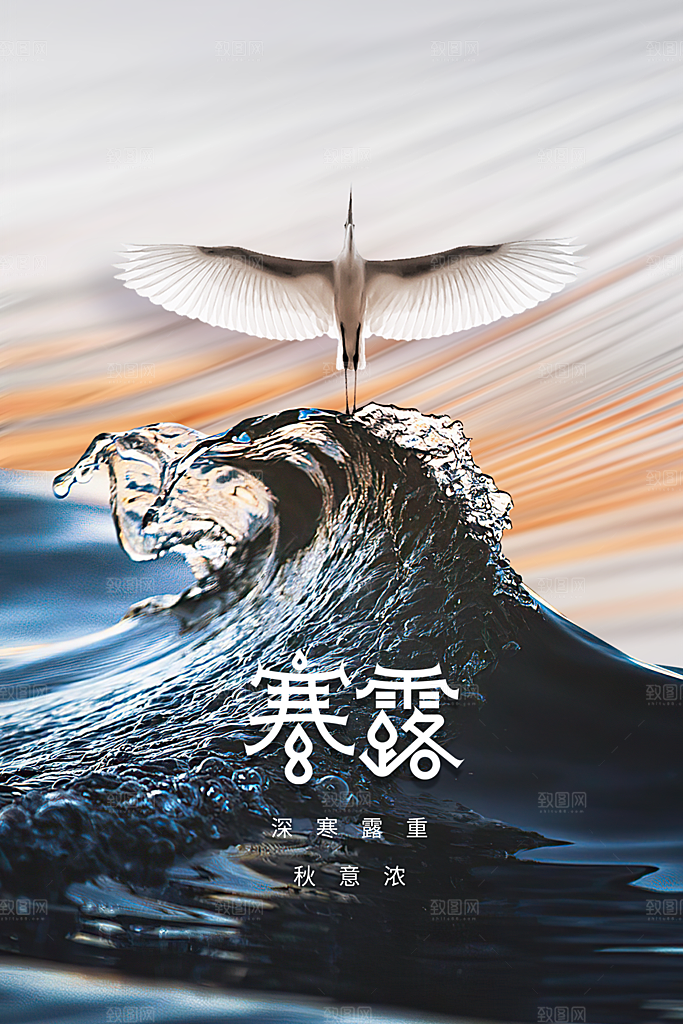 寒露节气传统活动海报