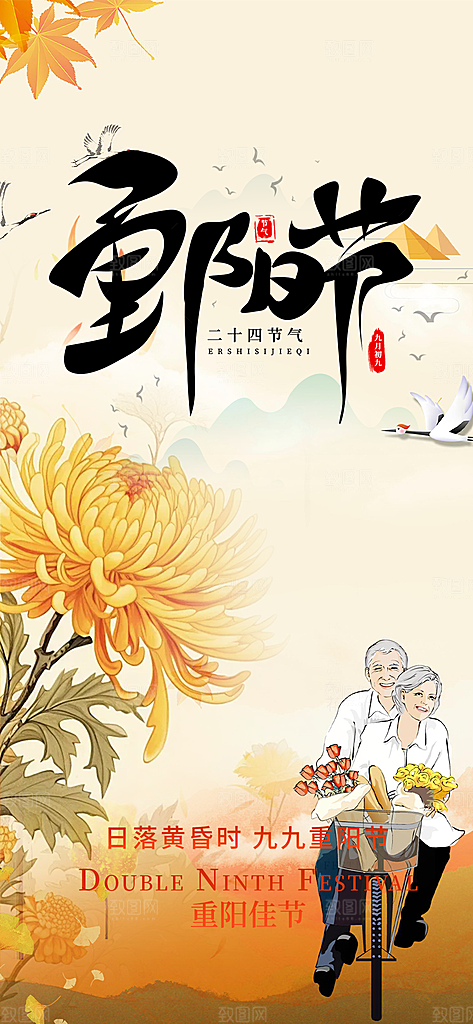 节日重阳节敬老爱老宣传活动海报
