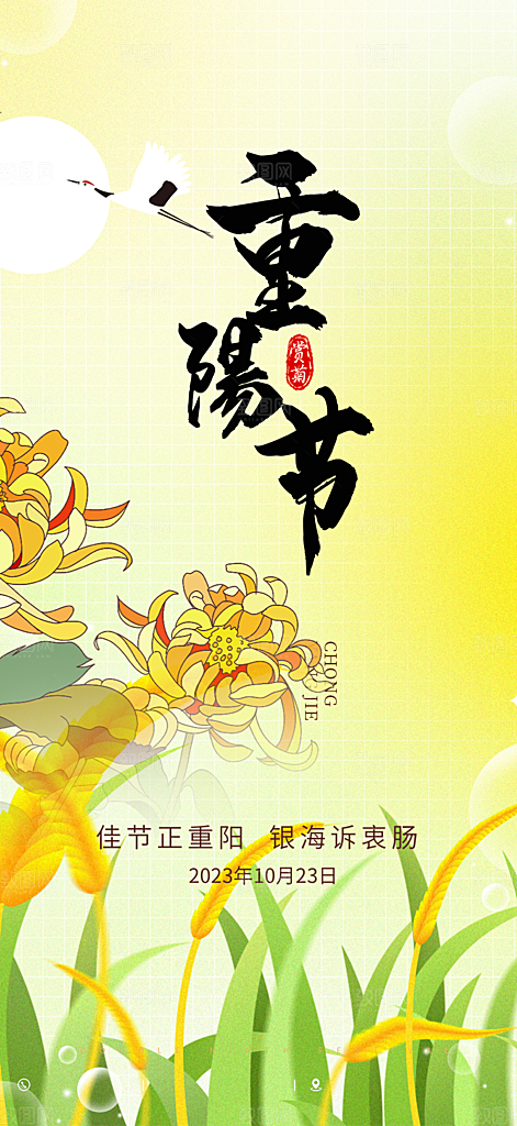 秋日节日重阳节敬老爱老宣传活动海报