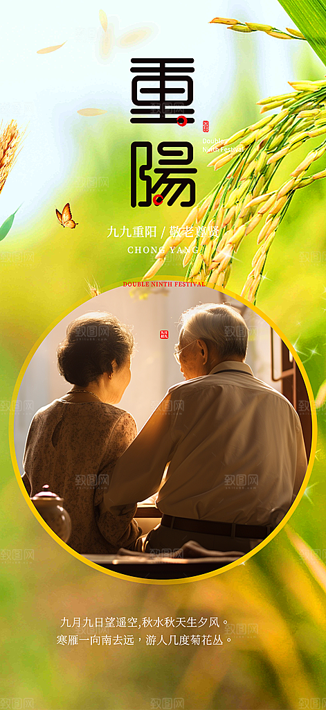 重阳节敬老爱老宣传活动海报