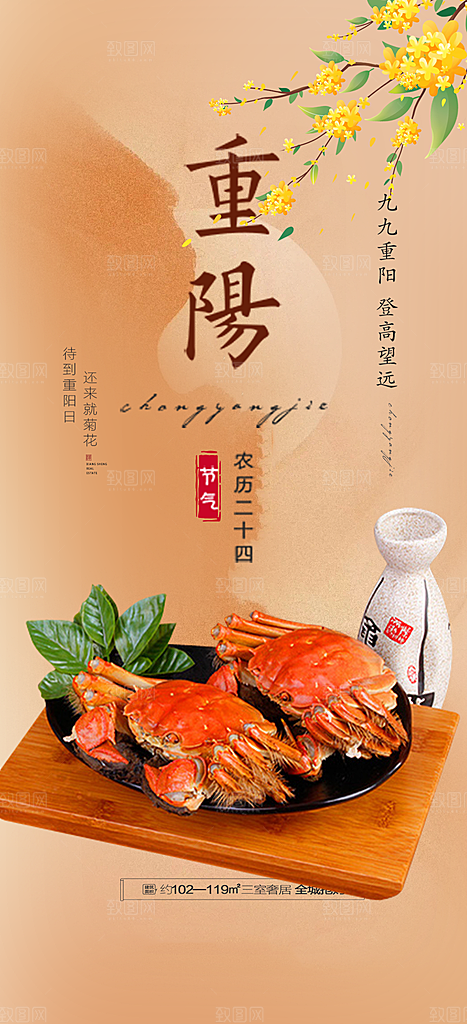重阳节敬老爱老宣传活动海报