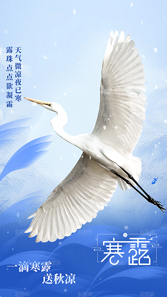 寒露节气宣传海报设计素材