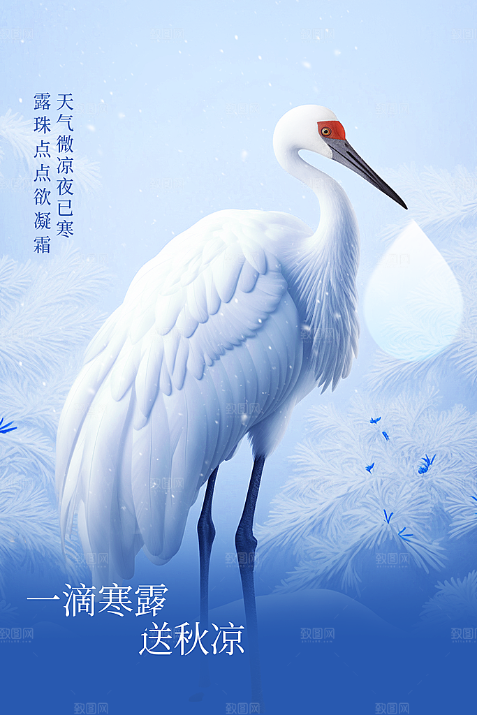 寒露节气宣传海报设计素材