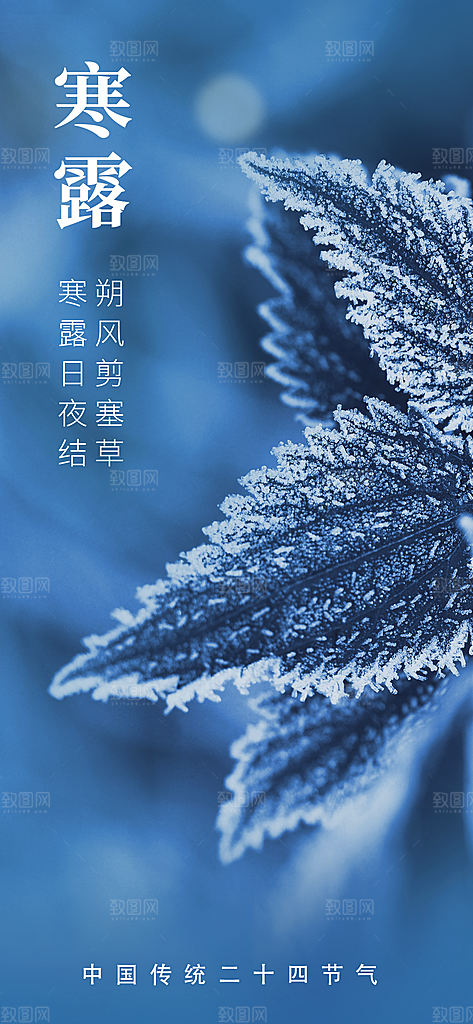 寒露节气宣传海报设计