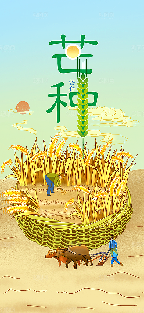 大气传统芒种二十四节气海报