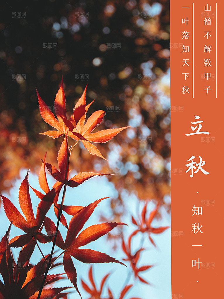 传统二十四节气立秋宣传海报