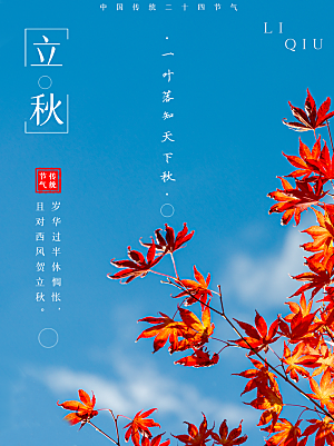 传统二十四节气立秋宣传海报