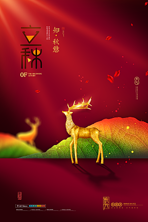 传统二十四节气立秋宣传海报