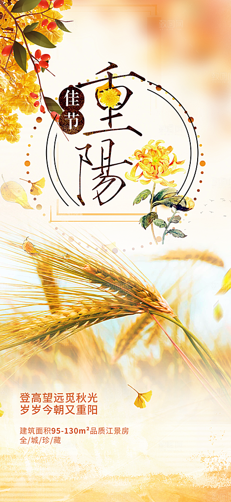 重阳节敬老爱老宣传活动海报