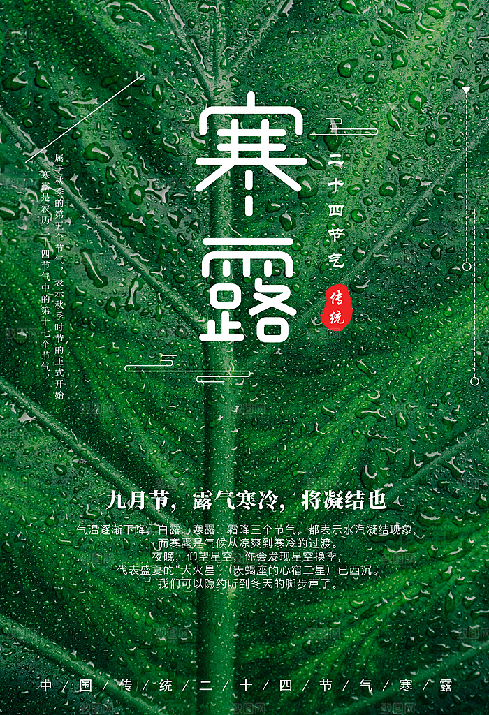 寒露节气宣传海报设计素材