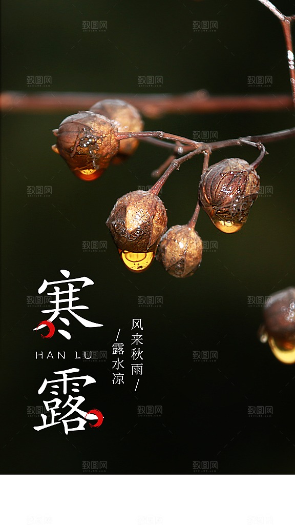 寒露节气宣传海报设计