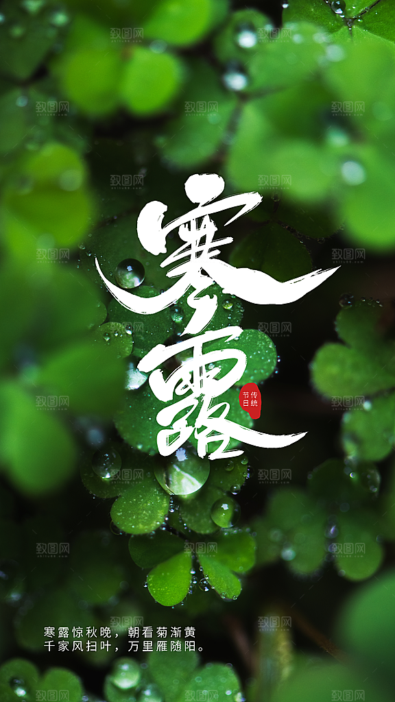 寒露节气宣传海报设计