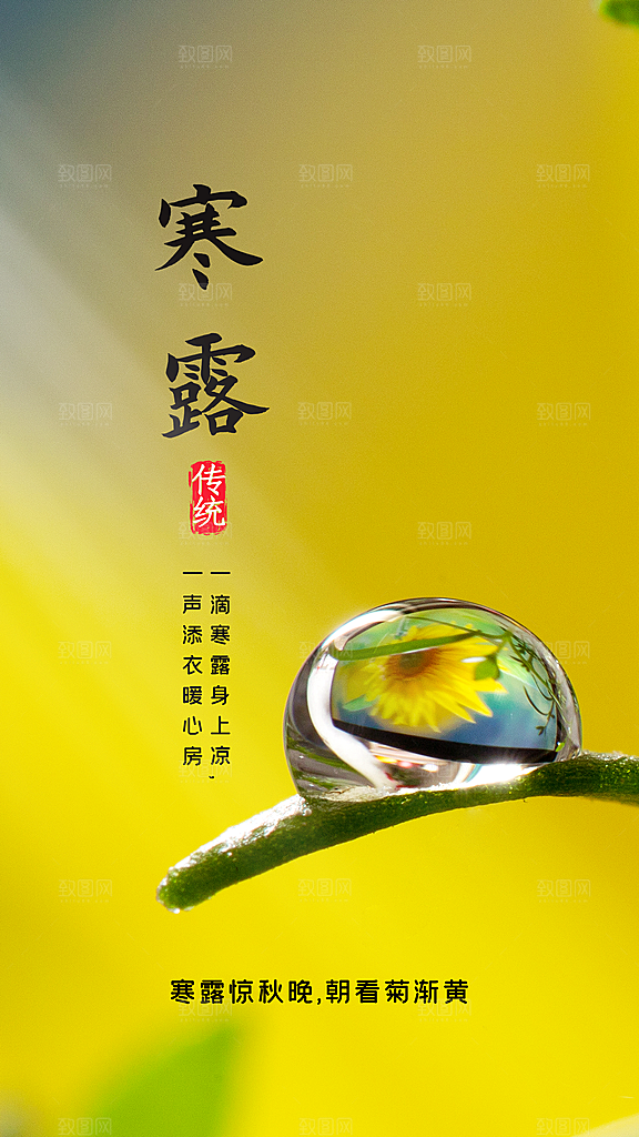 寒露节气宣传海报设计
