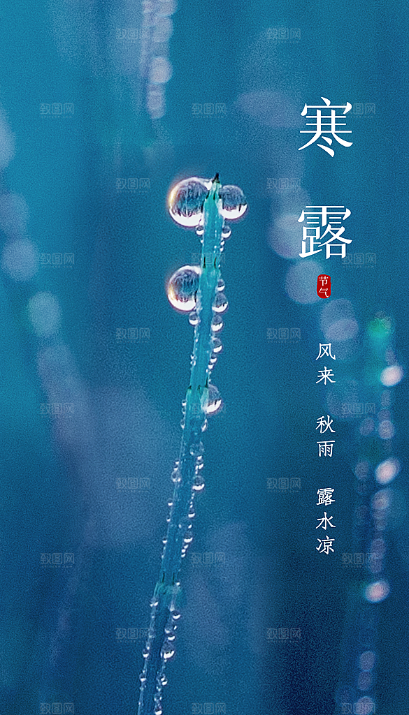 寒露节气宣传海报设计素材
