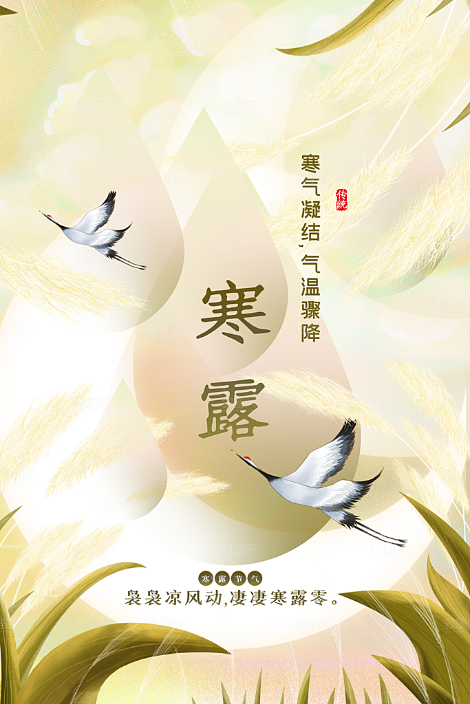 寒露节气宣传海报设计