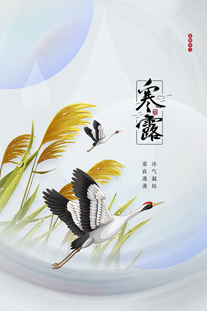 寒露节气宣传海报设计