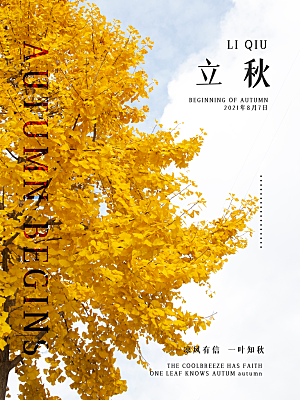 传统二十四节气立秋宣传海报