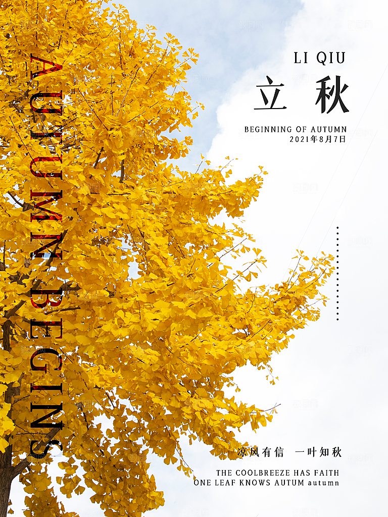 传统二十四节气立秋宣传海报
