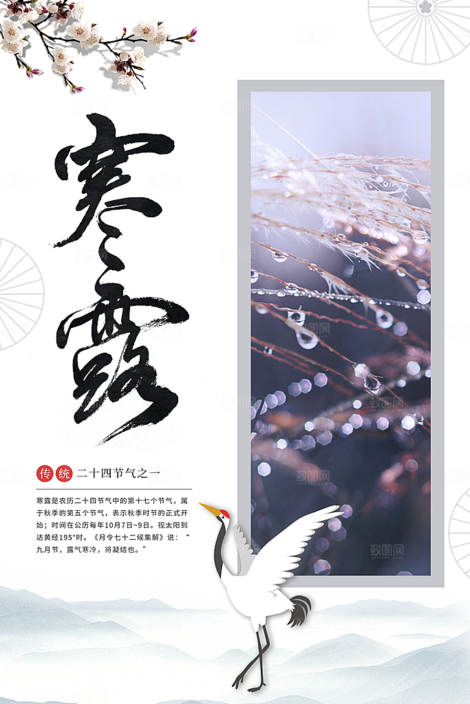 寒露节气宣传海报设计素材