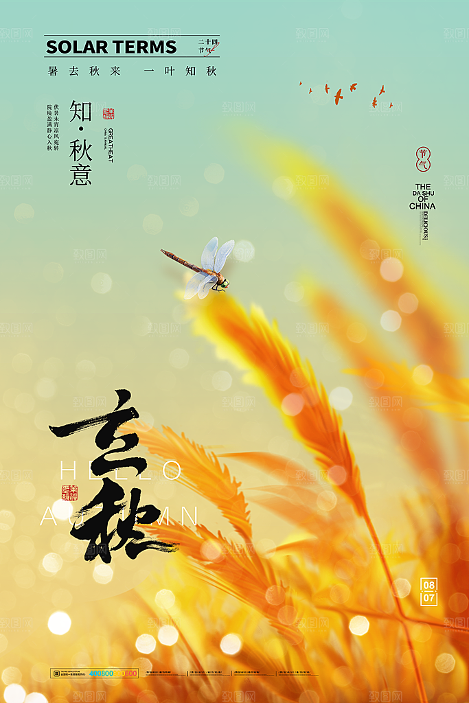 传统二十四节气立秋宣传海报