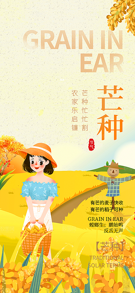 大气传统芒种二十四节气海报