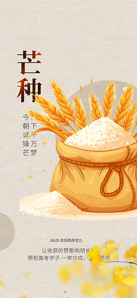 大气传统芒种二十四节气海报