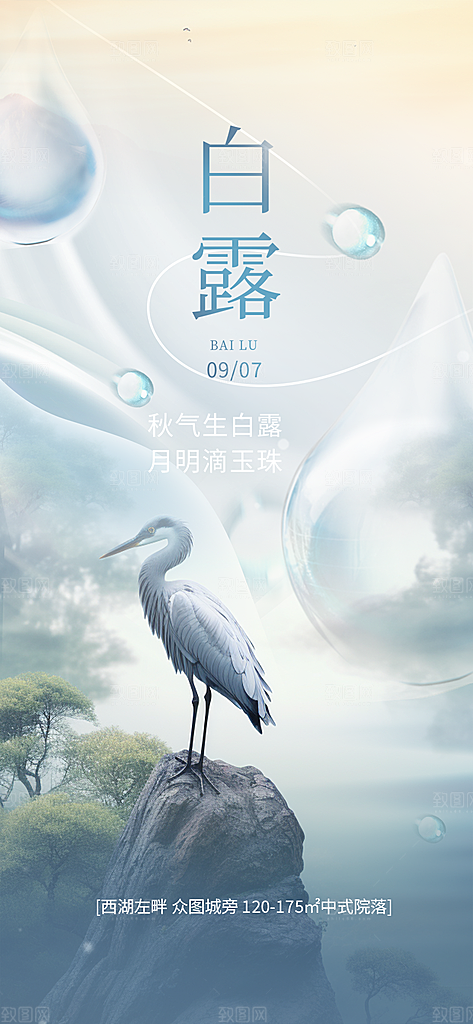 白露二十四节气海报