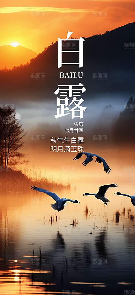 白露二十四节气海报