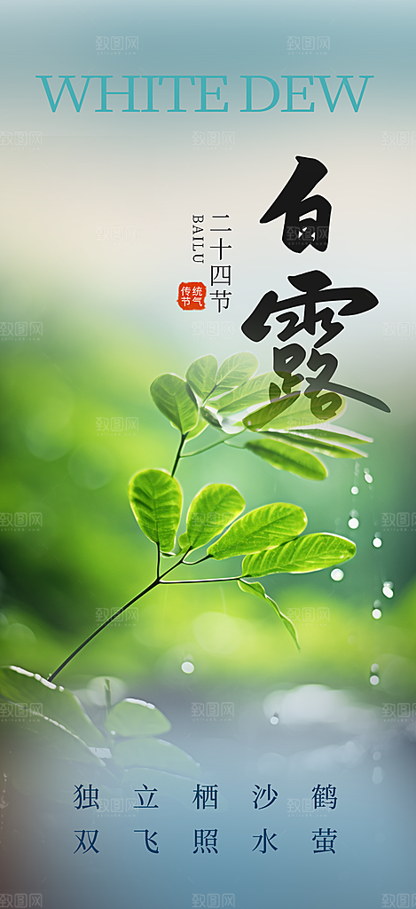 白露二十四节气海报