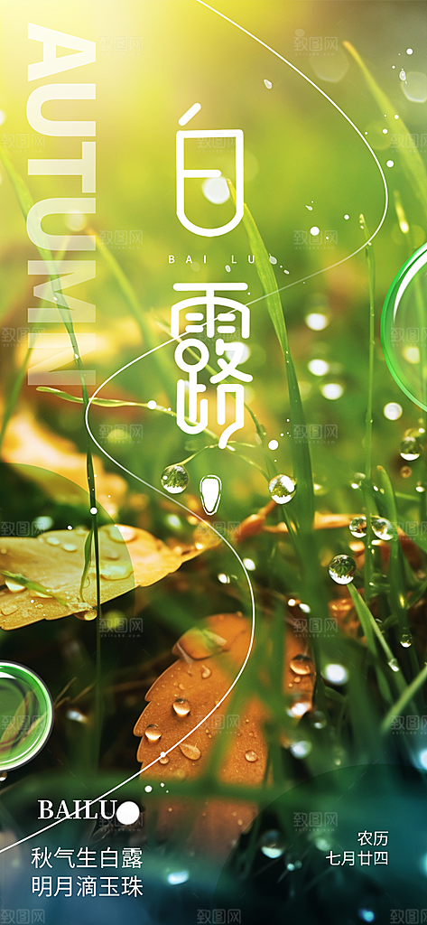 白露二十四节气海报