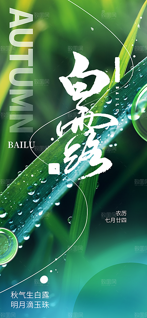 白露二十四节气海报
