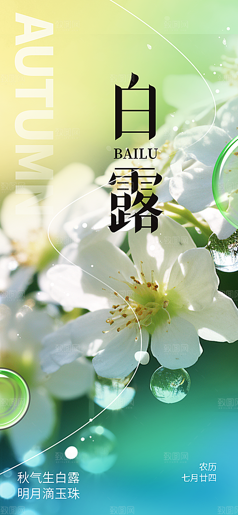 白露二十四节气海报