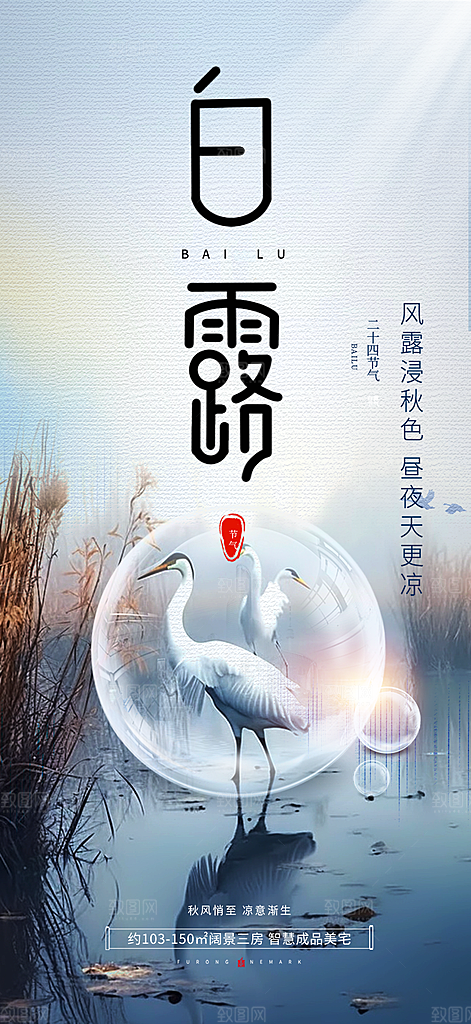 白露二十四节气海报