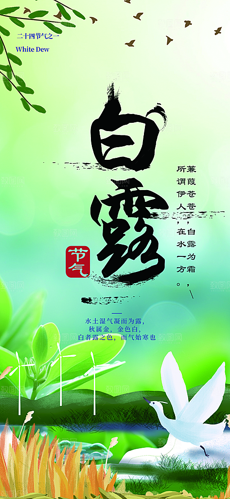 传统白露二十四节气海报