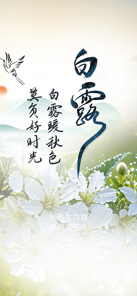 传统白露二十四节气海报
