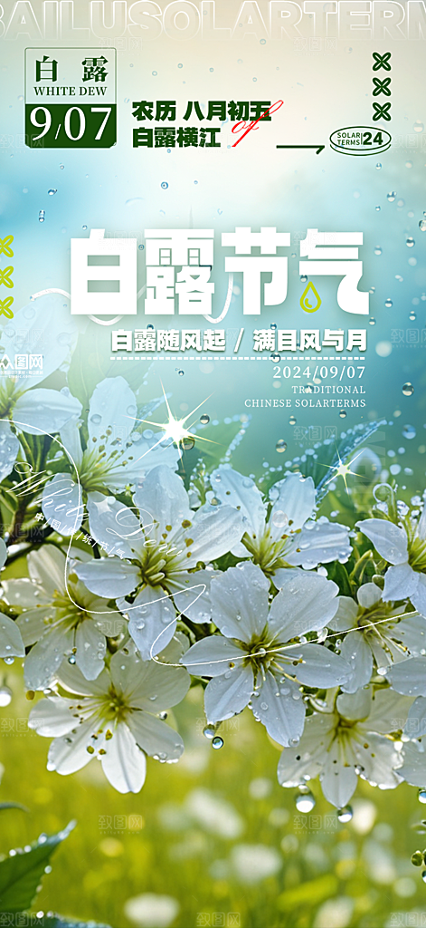 传统白露二十四节气海报