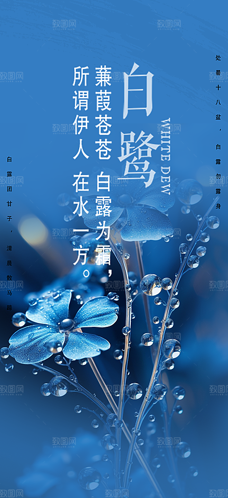 简约风传统白露二十四节气海报