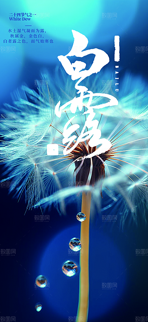 简约风传统白露二十四节气海报