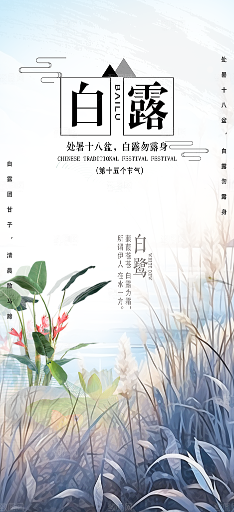 简约风传统白露二十四节气海报