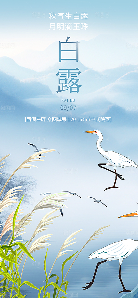 简约风传统白露二十四节气海报