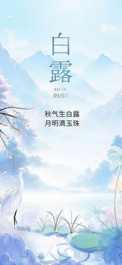 简约风传统白露二十四节气海报