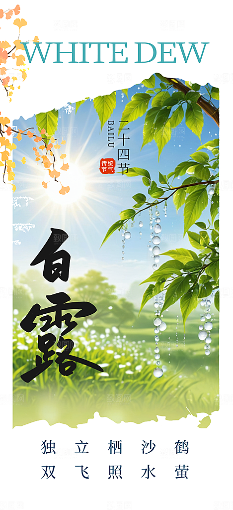 简约风传统白露二十四节气海报