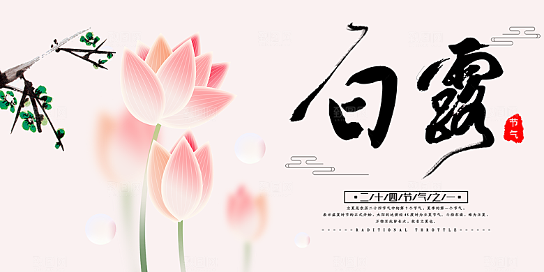 白露二十四节气展板