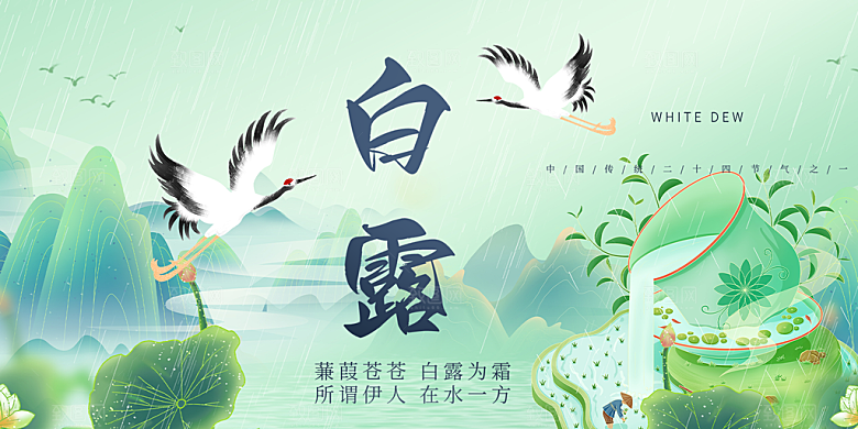 传统白露二十四节气展板