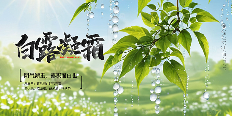 简约风传统白露二十四节气展板