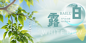 简约风传统白露二十四节气展板