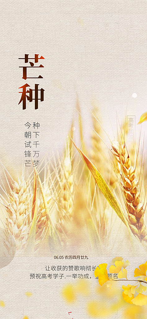 传统芒种二十四节气海报