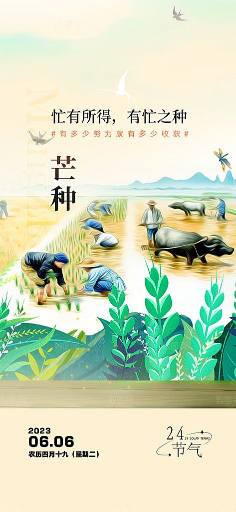 传统芒种二十四节气海报