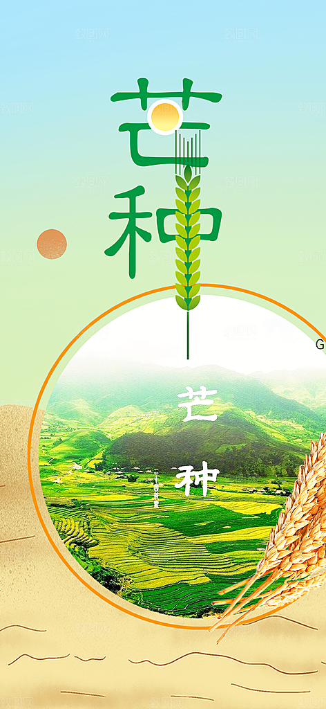 传统大气芒种二十四节气海报