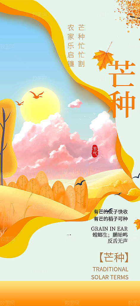 传统大气芒种二十四节气海报